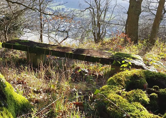 Apartamento Mosea Zeltingen-Rachtig